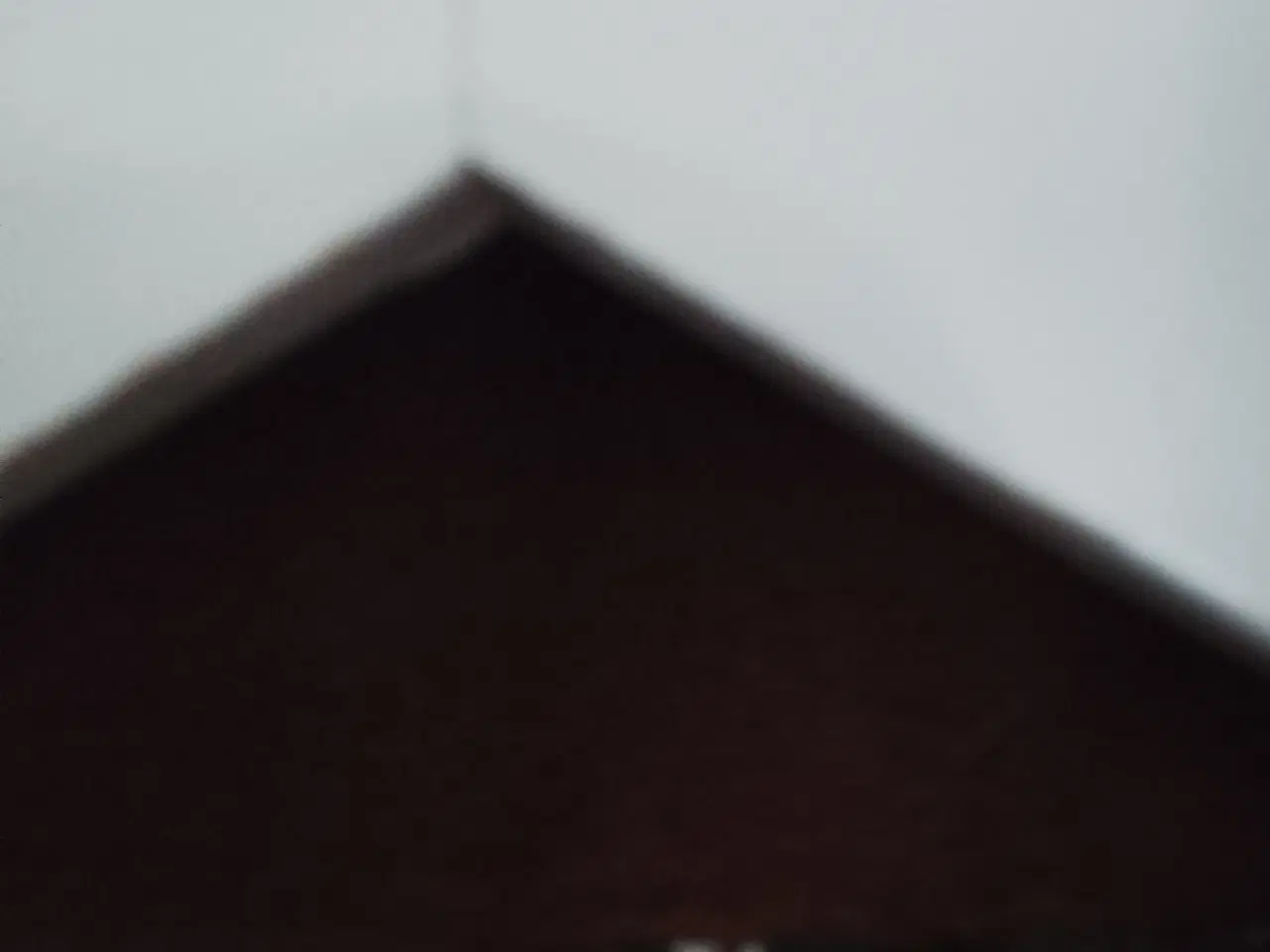 Billede 8 - Deerhunter jagt 