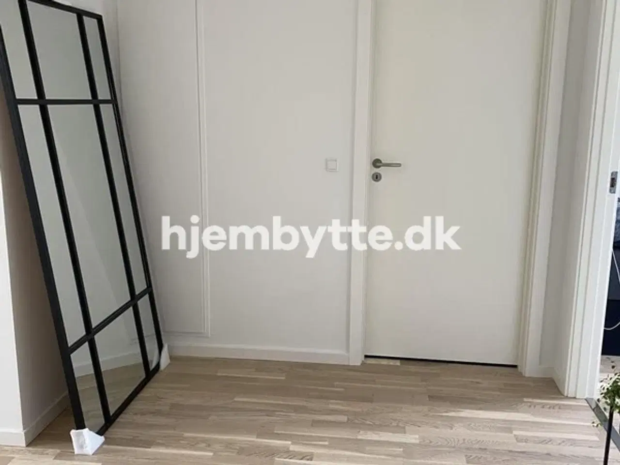Billede 6 - Hjembytte - Rådhusdammen