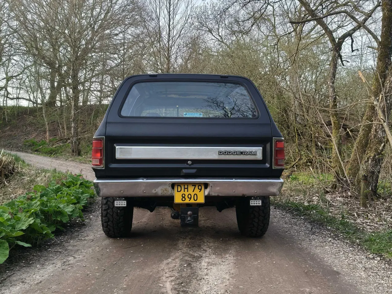 Billede 5 - Dodge Ramcharger 
