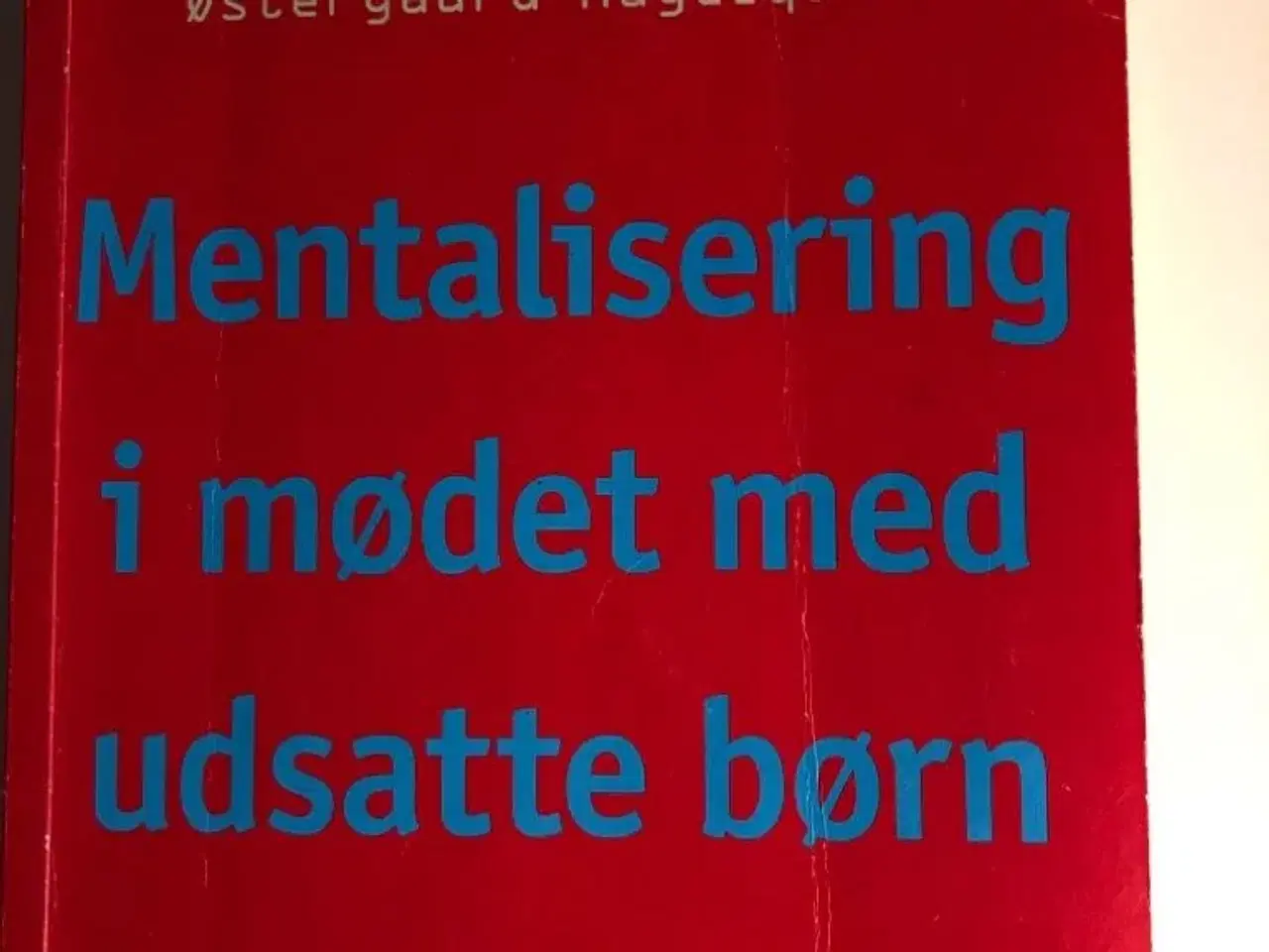 Billede 1 - Mentalisering  i mødet med udsatte børn