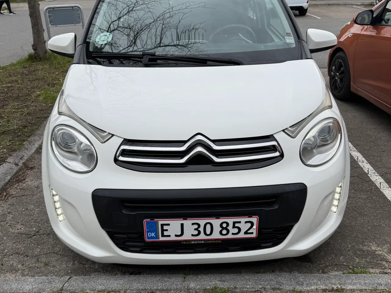 Billede 2 - Økonomisk C1’er, Nysynet 