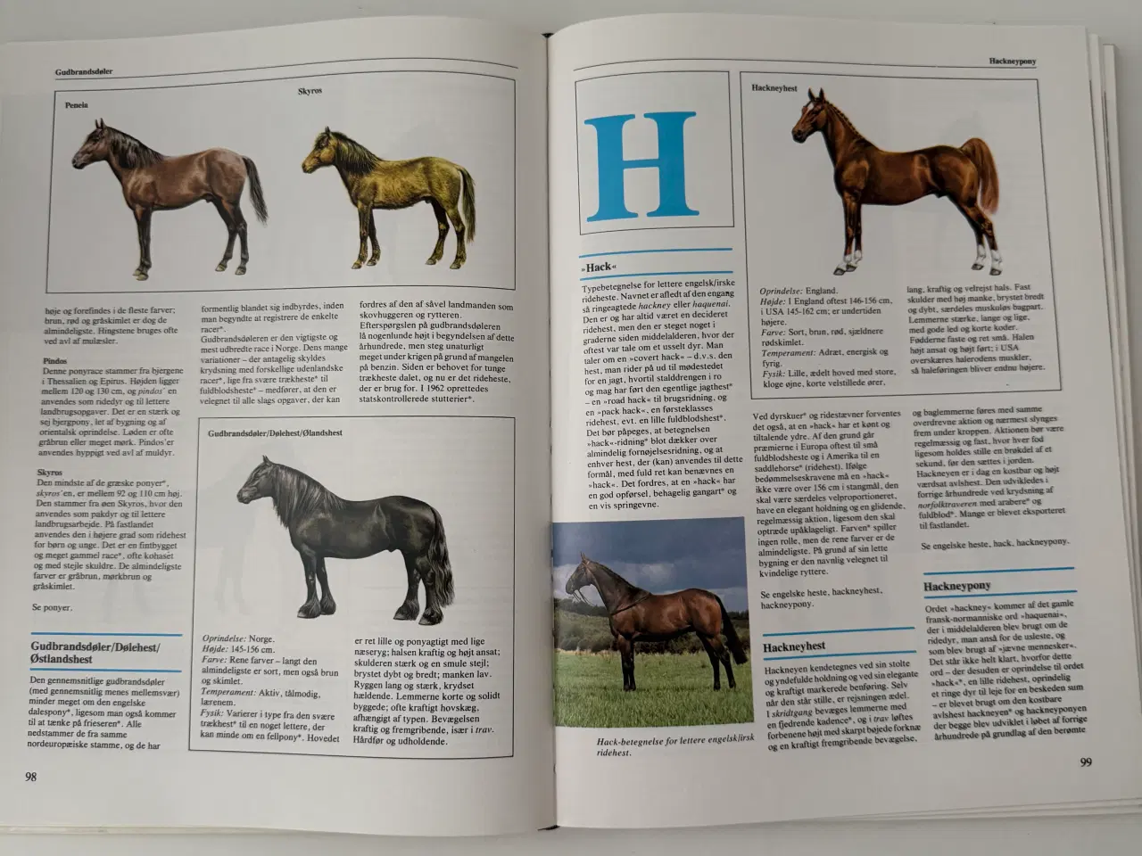 Billede 5 - Lademanns Hesteleksikon - Ridehåndbog