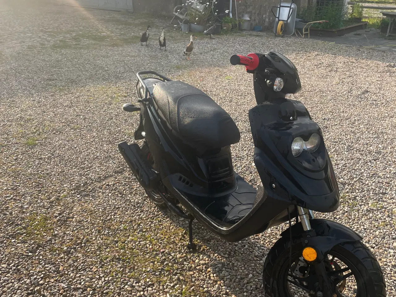 Billede 4 - Moto Cr Hot 50