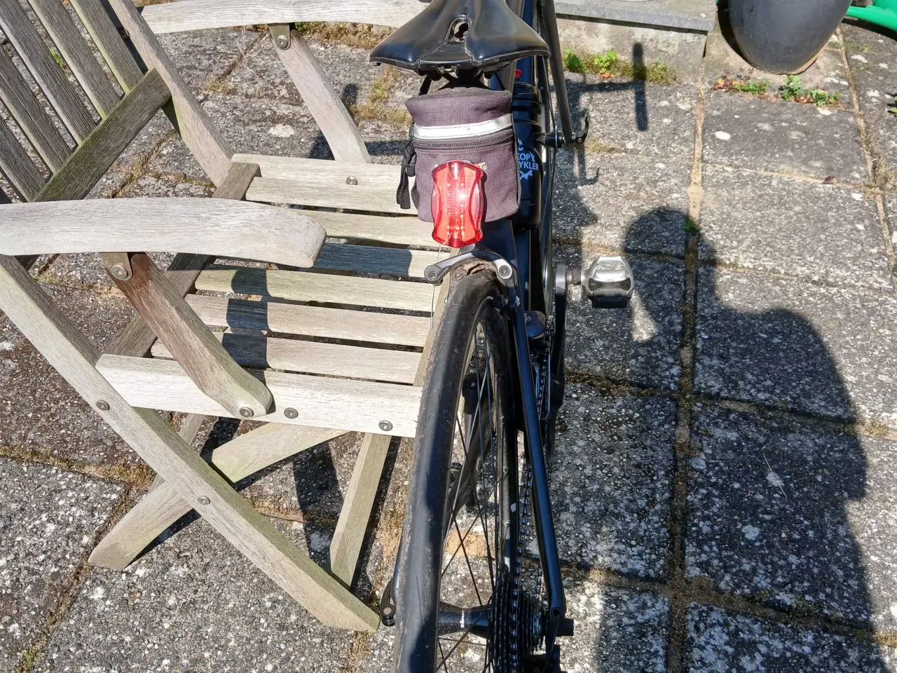 Billede 2 - Pigeracer Giant liv di2 