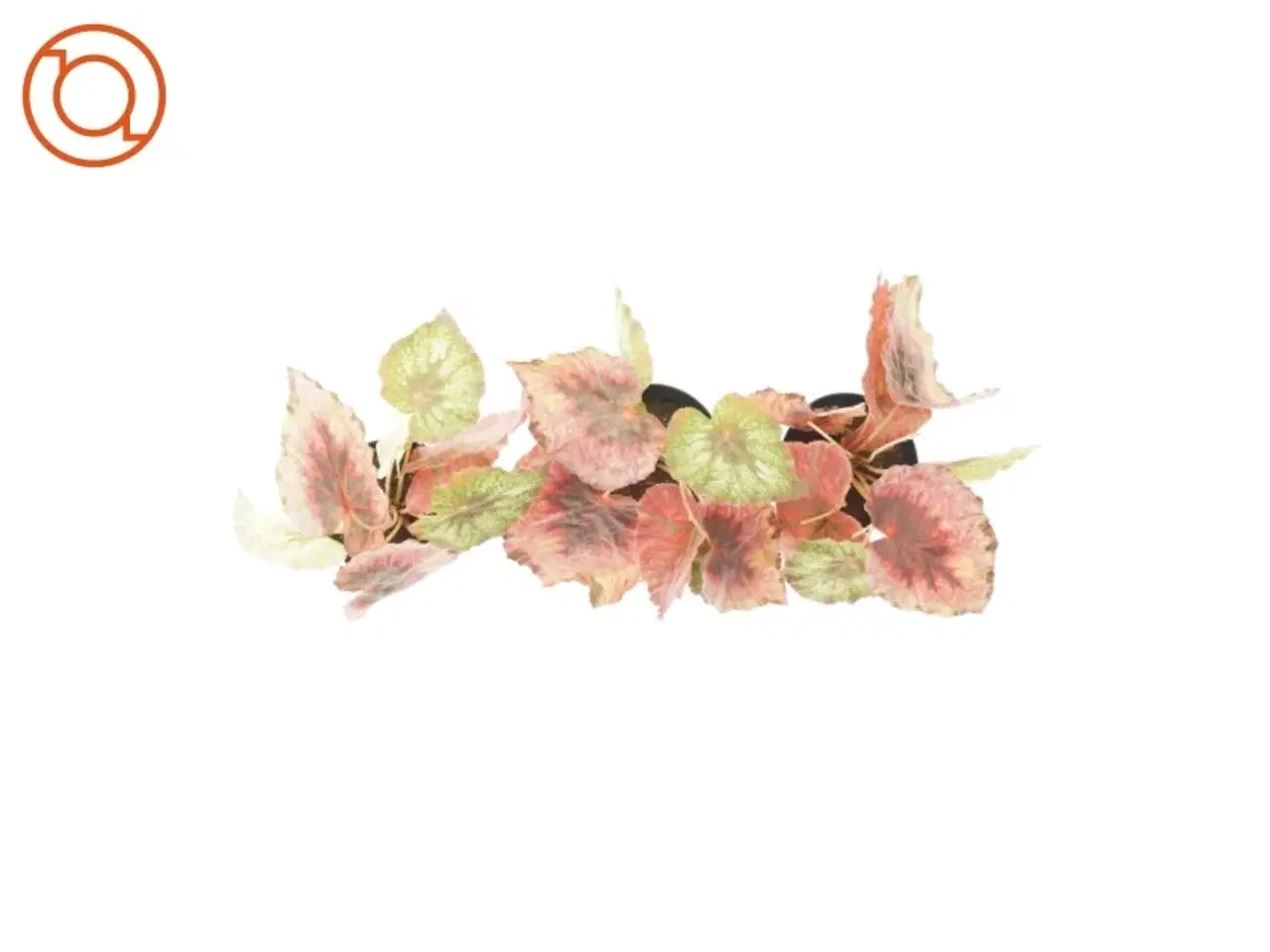 Billede 2 - kunstige planter 3 stk. (str. 20 x 8cm)