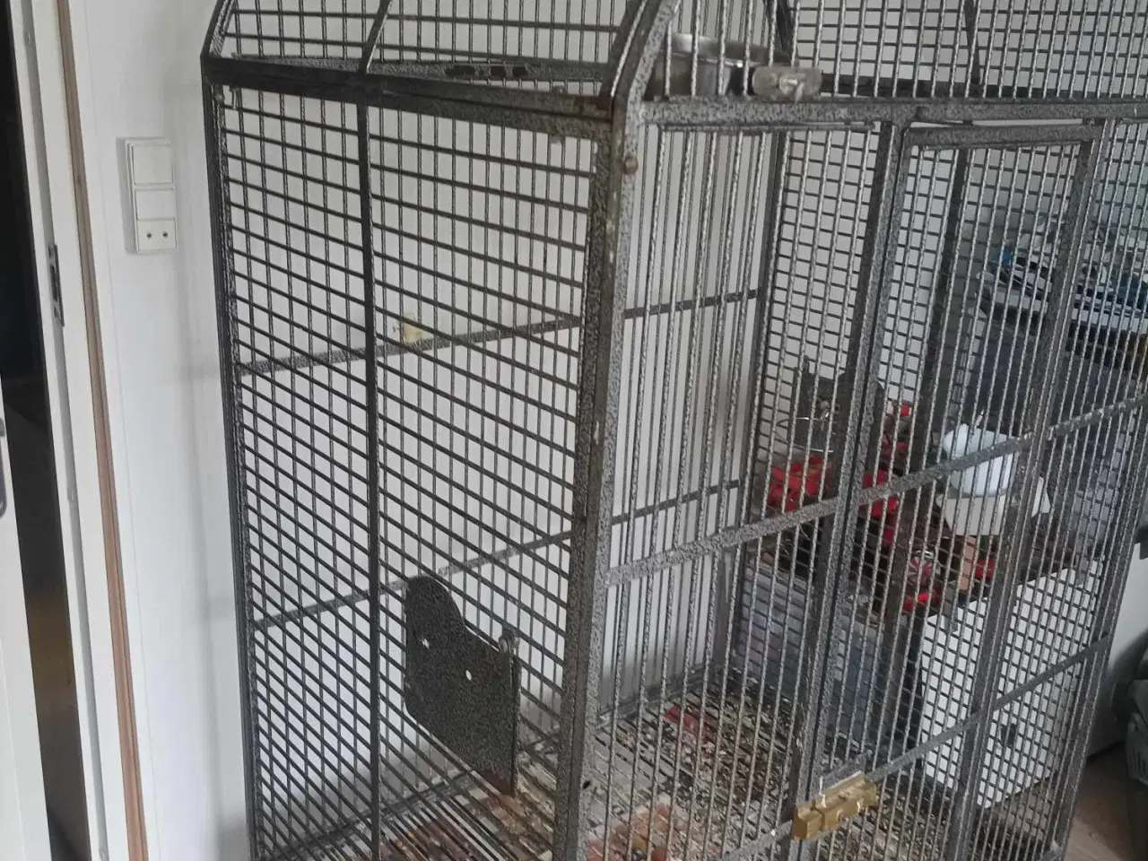 Billede 4 - papegøjer og bur