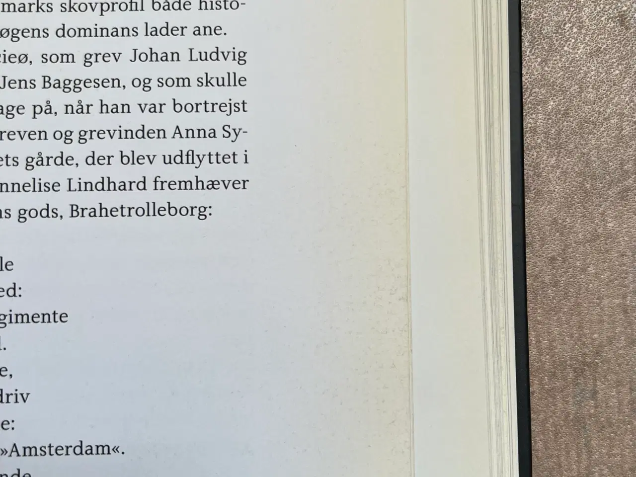 Billede 7 - Danmark er en kvinde