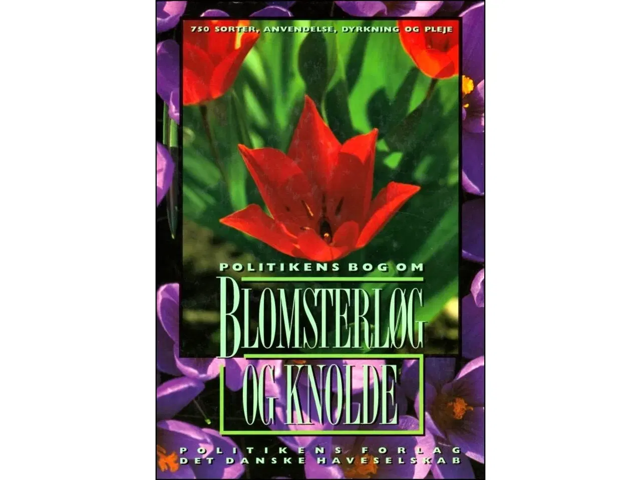 Billede 1 - Politikens bog om blomsterløg og knolde