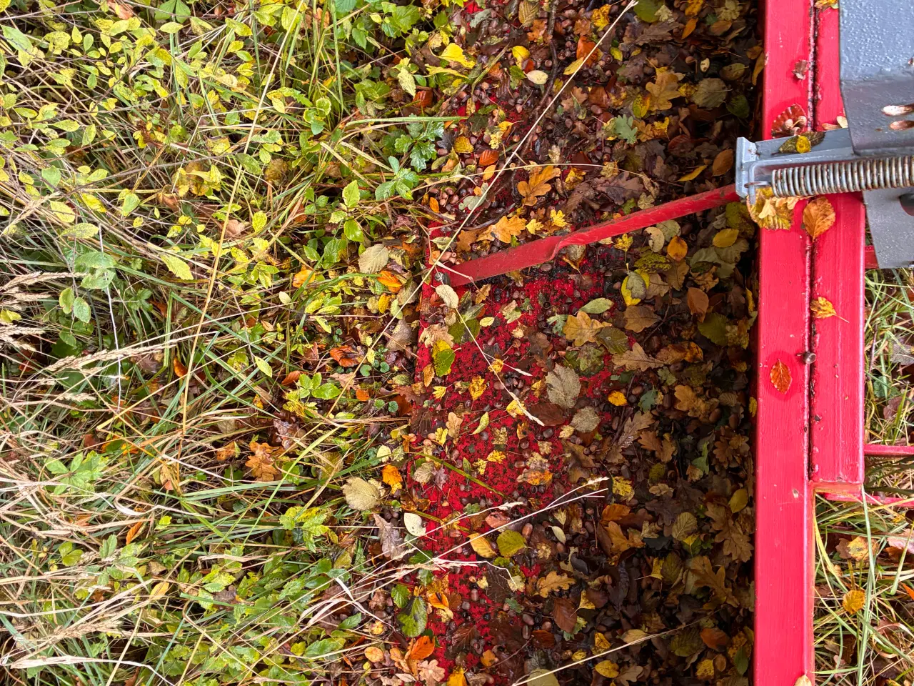 Billede 2 - Bagskovl 