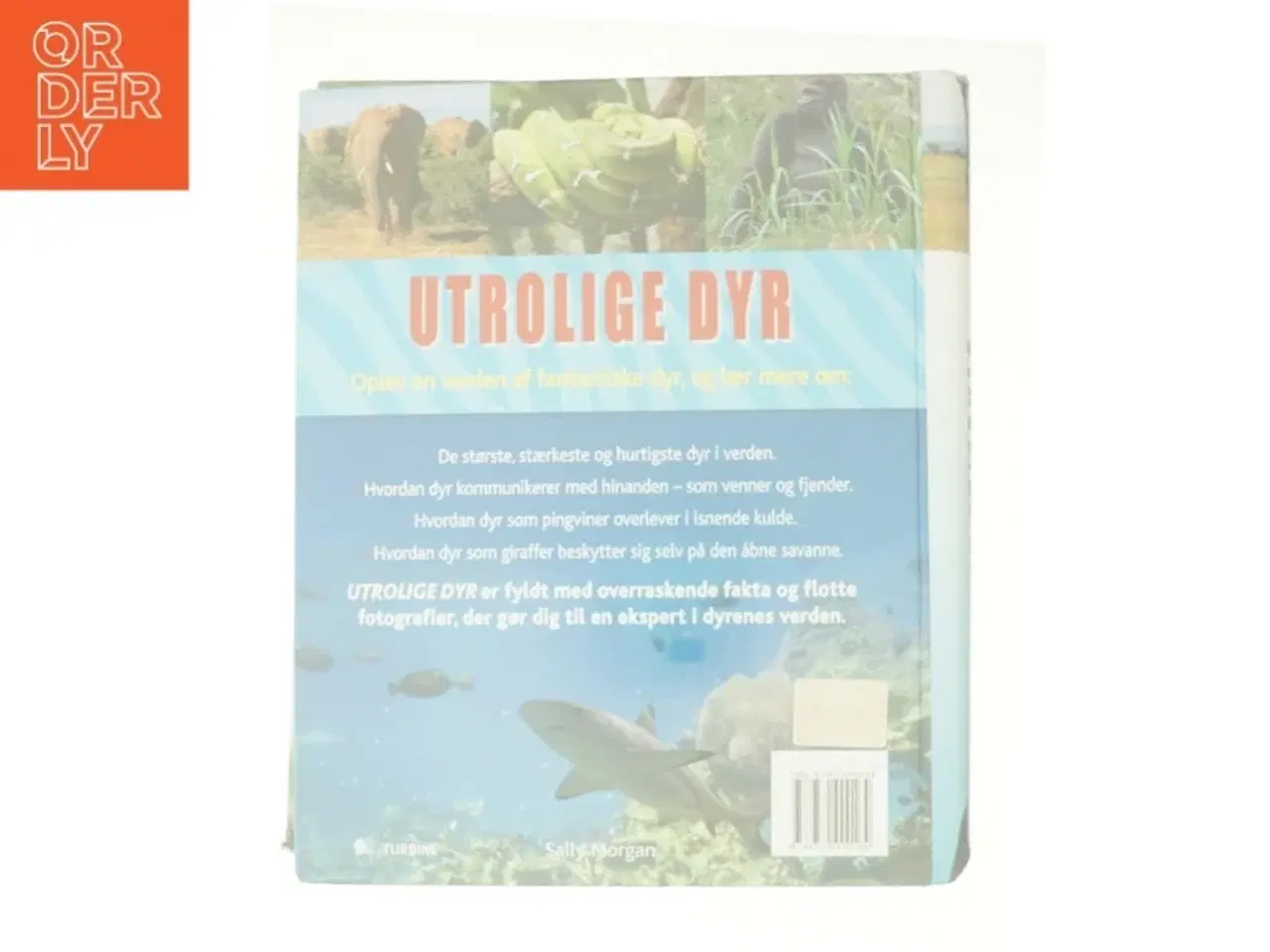 Billede 2 - Utrolige dyr (Bog)