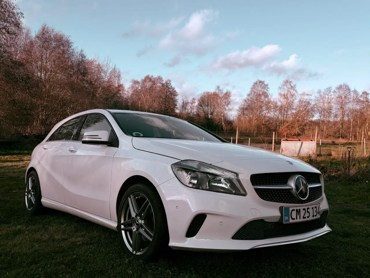 Billede 8 - Lækker Mercedes-Benz A200D