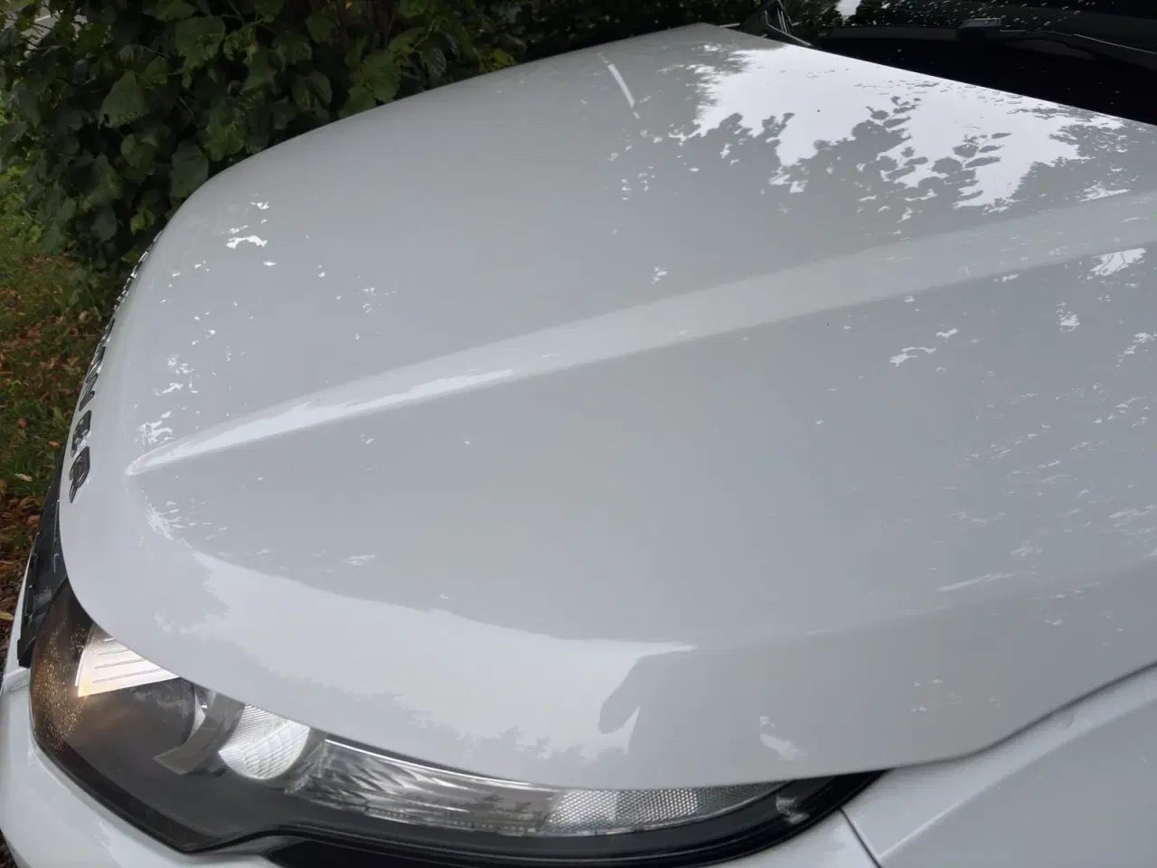Billede 21 - Land Rover Range Rover Evoque 2,2 TD4 Pure aut.