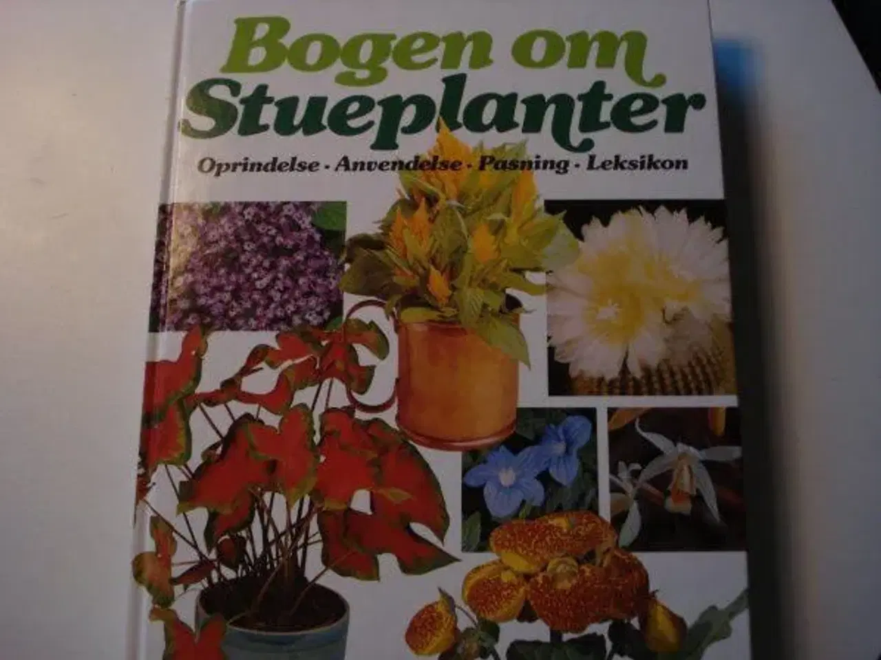 Billede 1 - Bogen om Stueplanter