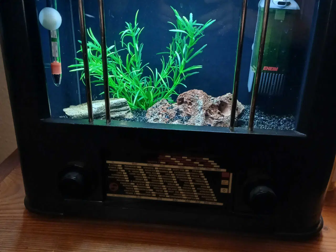 Billede 8 - Akvarium