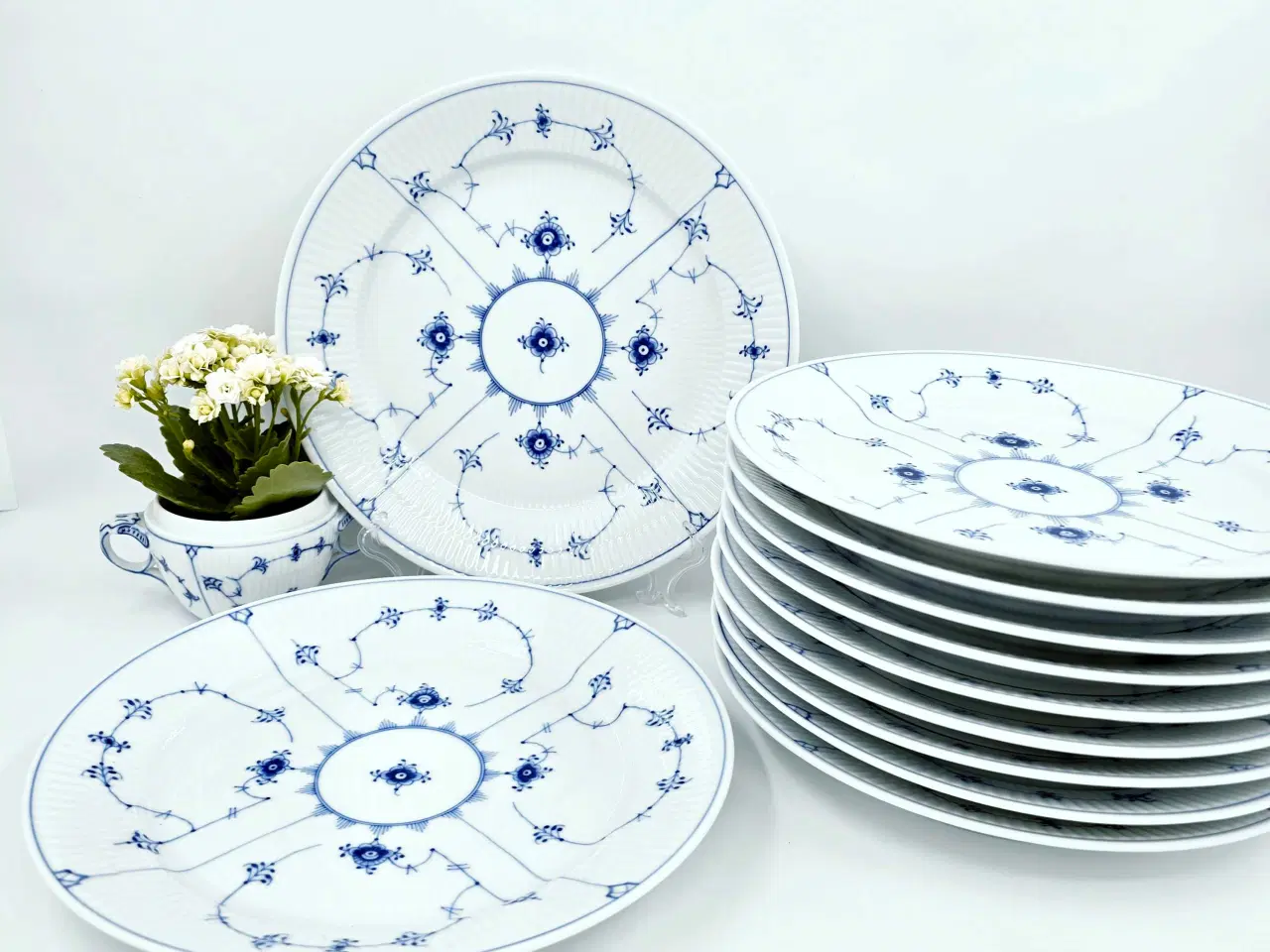 Billede 1 - Musselmalet Riflet Middagstallerken Porcelæn 