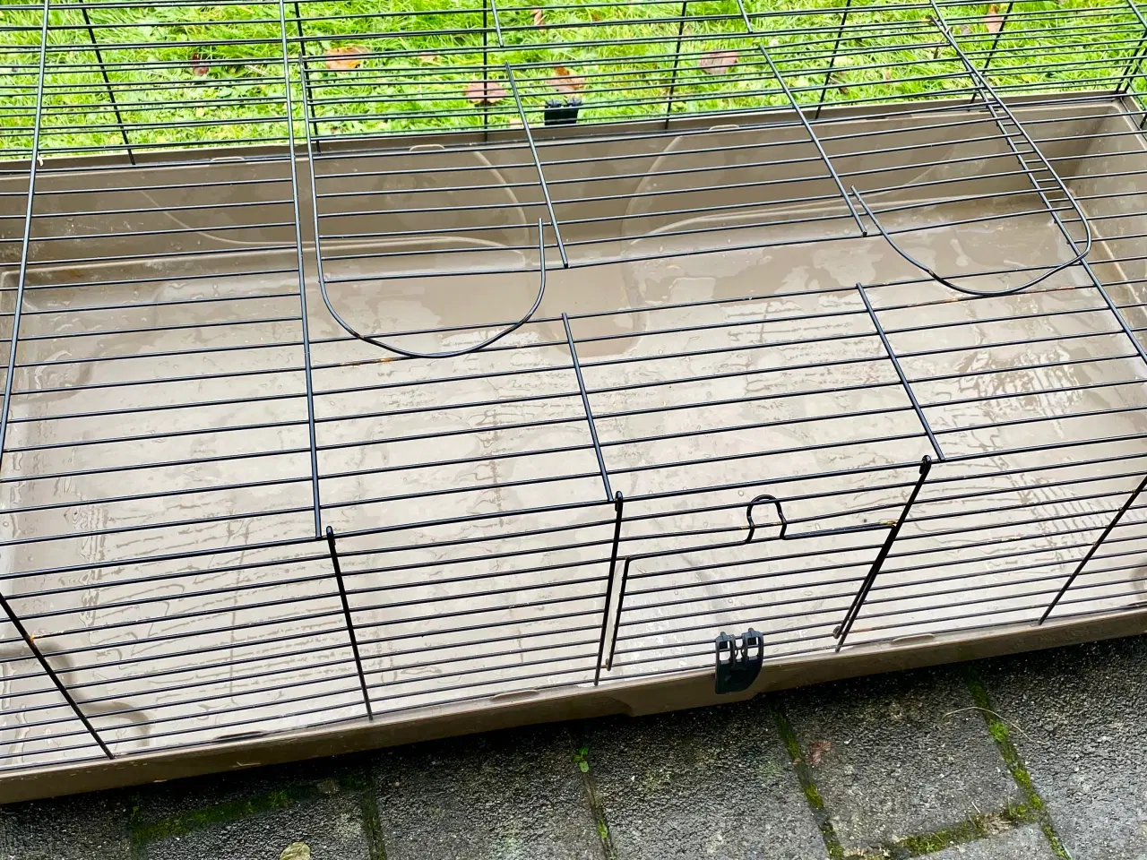 Billede 2 - Gnavebur Baldo