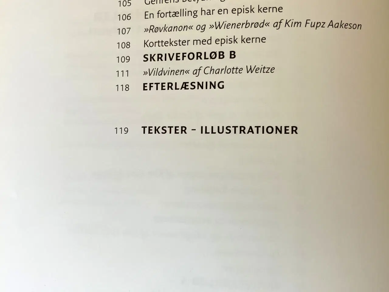 Billede 4 - Læselyst og skrivefryd. Bind 2. Af  Cecilie Bogh, 