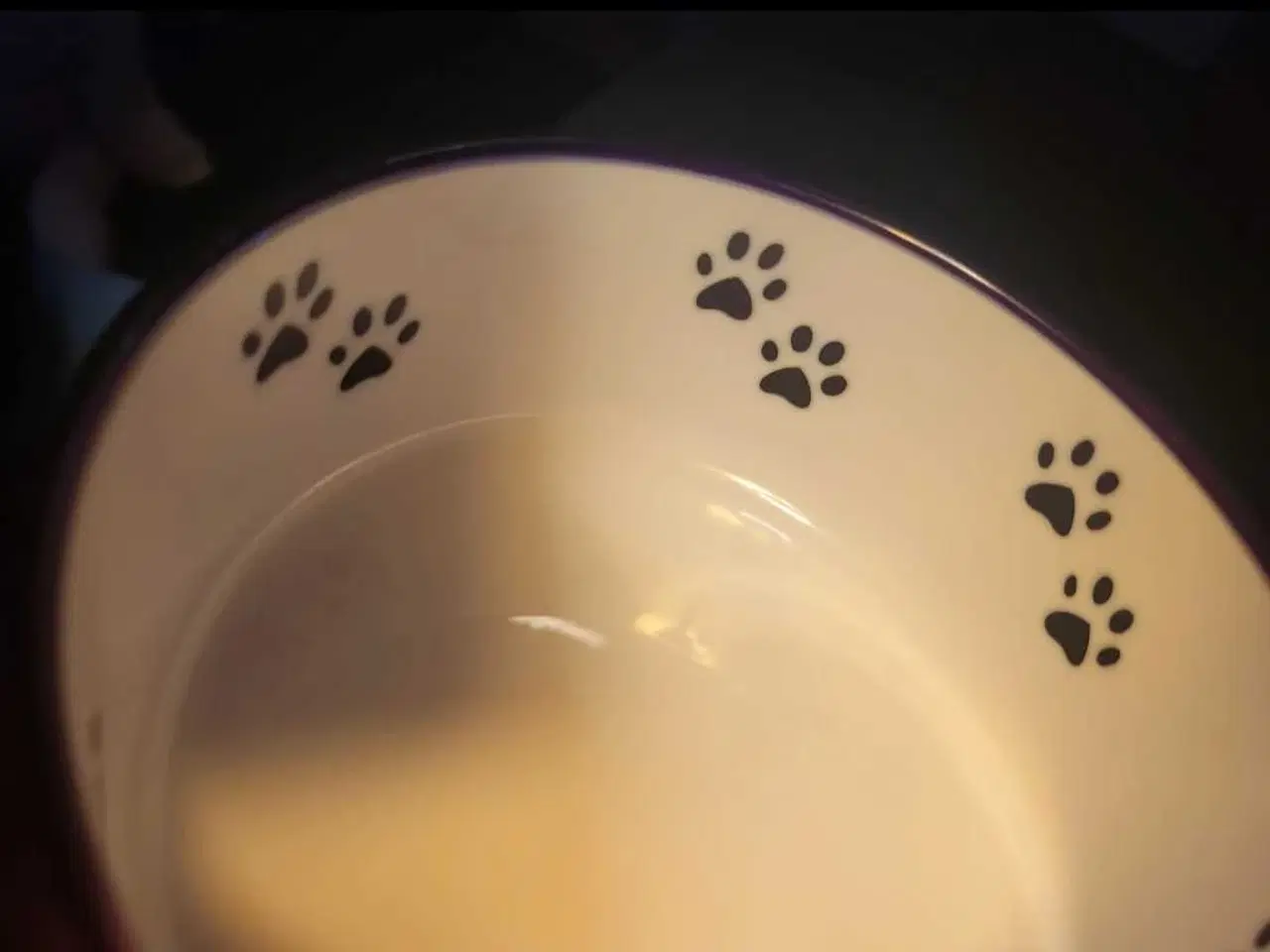 Billede 4 - Lilla Kæledyrsskål Str S