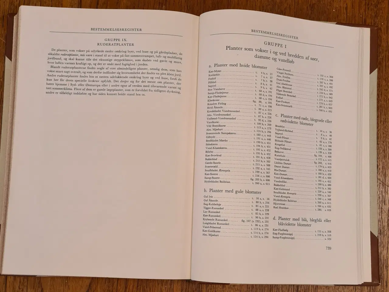 Billede 10 - Danmarks Vilde Planter