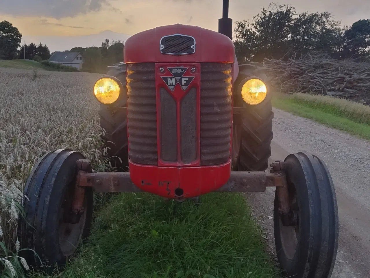 Billede 2 - Massey Ferguson 65 i utrolig fin original stand