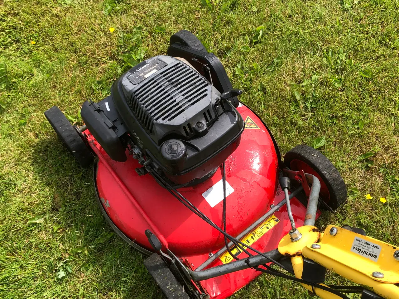 Billede 3 - Klippo Professional, selvkørende 