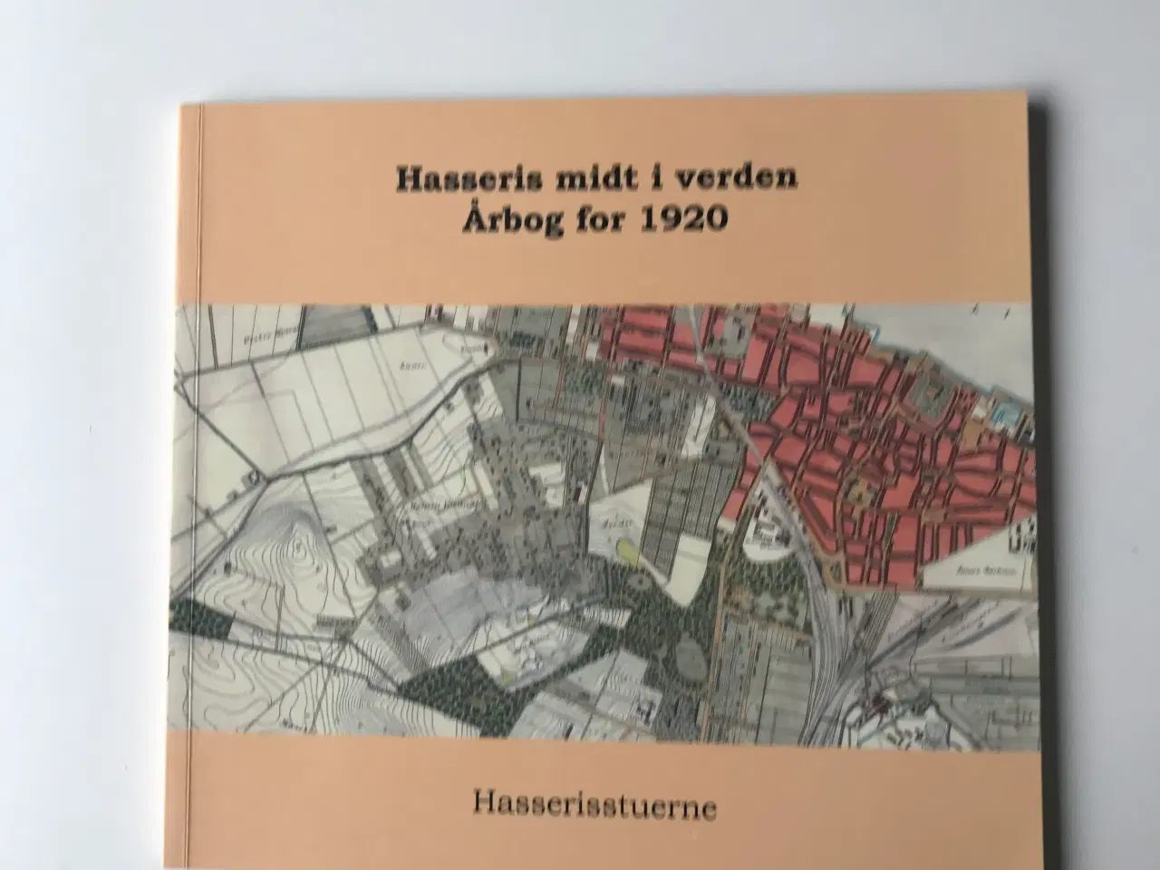 Billede 1 - Hasseris midt i verden - Årbog for 1920