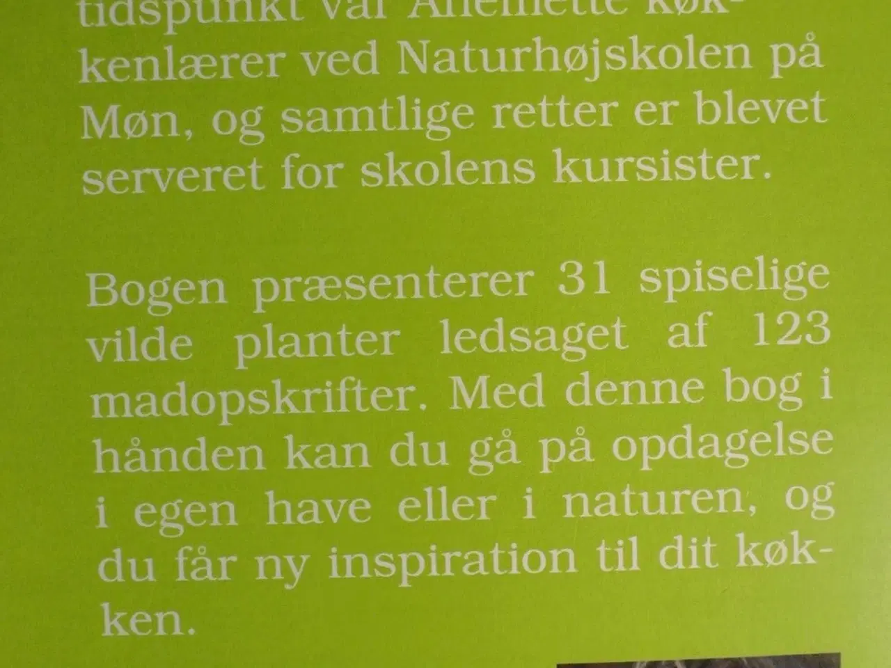 Billede 2 - spis dit ukrudt , af anemette olesen, emne: mad og