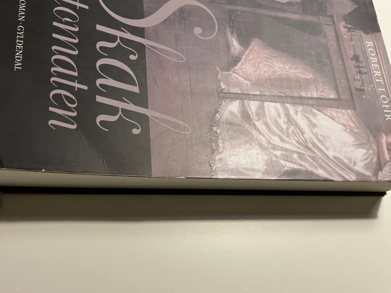 Billede 3 - Skakautomaten. Af Robert Löhr