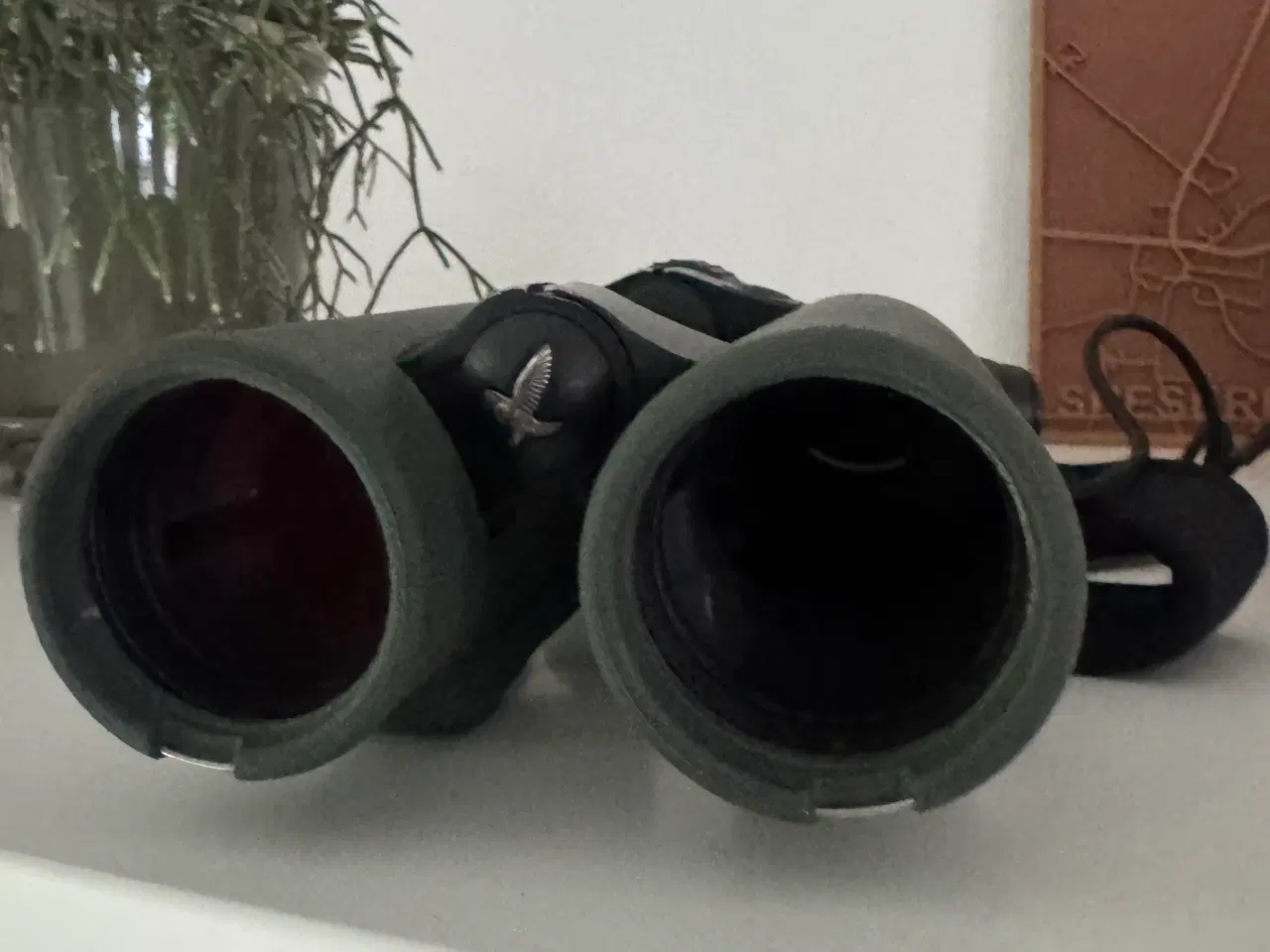 Billede 3 - Swarovski EL 10x42