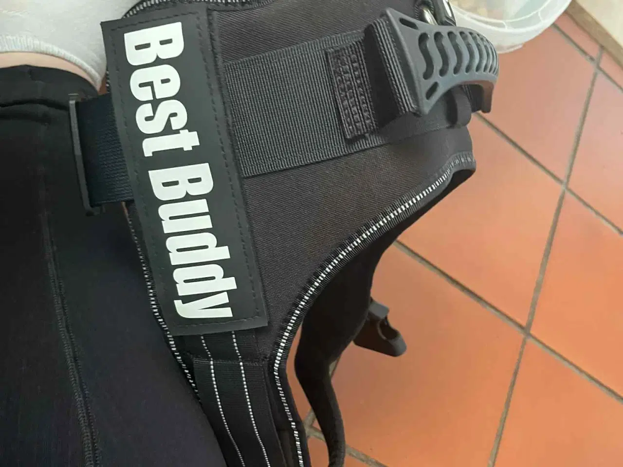 Billede 19 - Hundeting til salg 