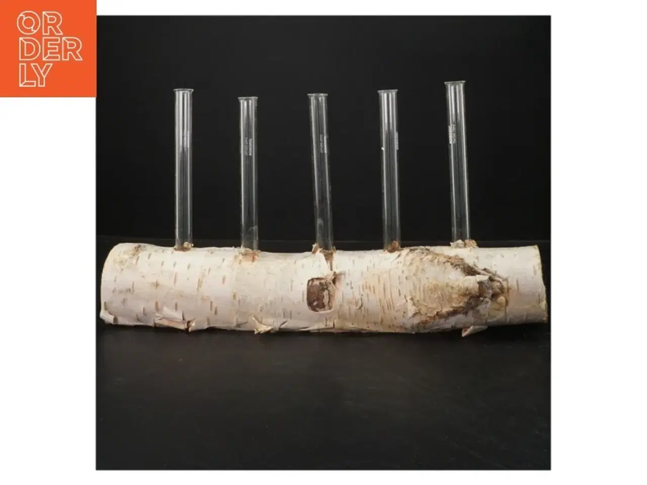 Billede 1 - Unik blomsterholder i birketræ med reagensglas (str. 35x21 cm)