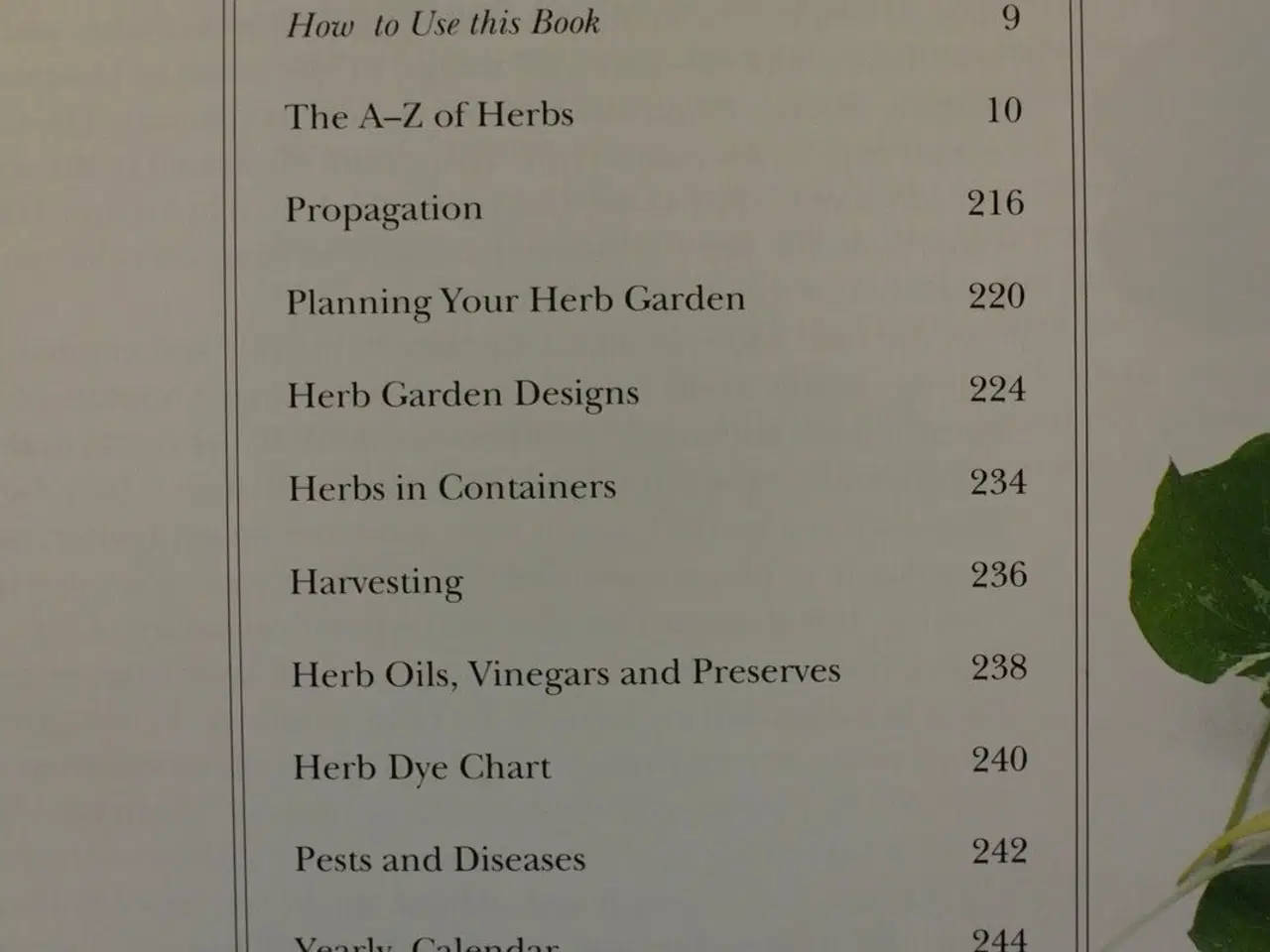 Billede 2 - jekka's complete herb book, by jekka mcvicar, emne
