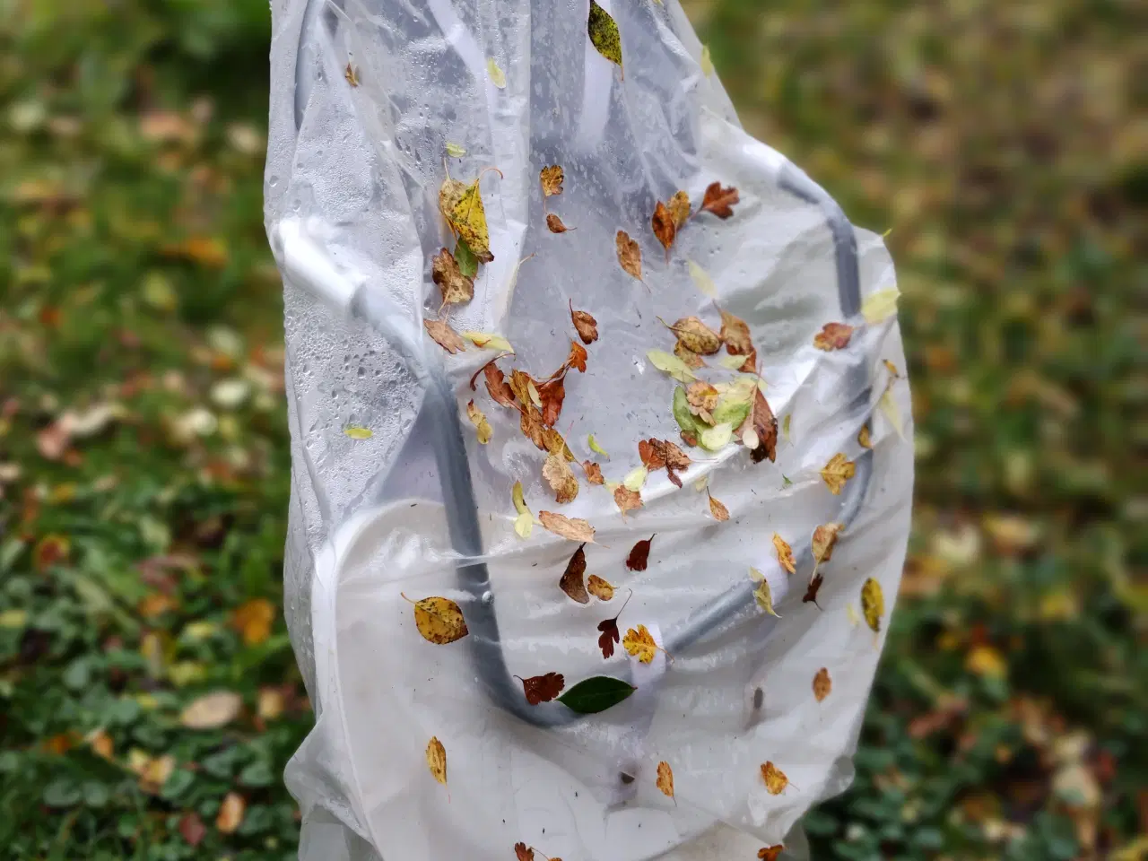 Billede 4 - Gratis, kom og hent