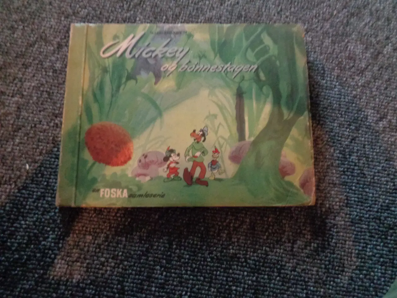 Billede 1 - Foska samlemappe