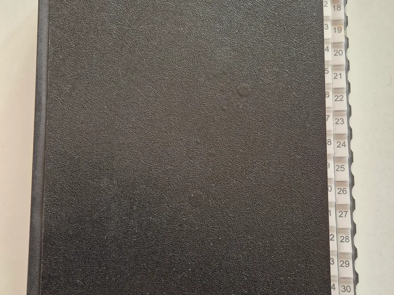 Billede 1 - Leitz sorteringsmappe med inddelinger til 31 dage