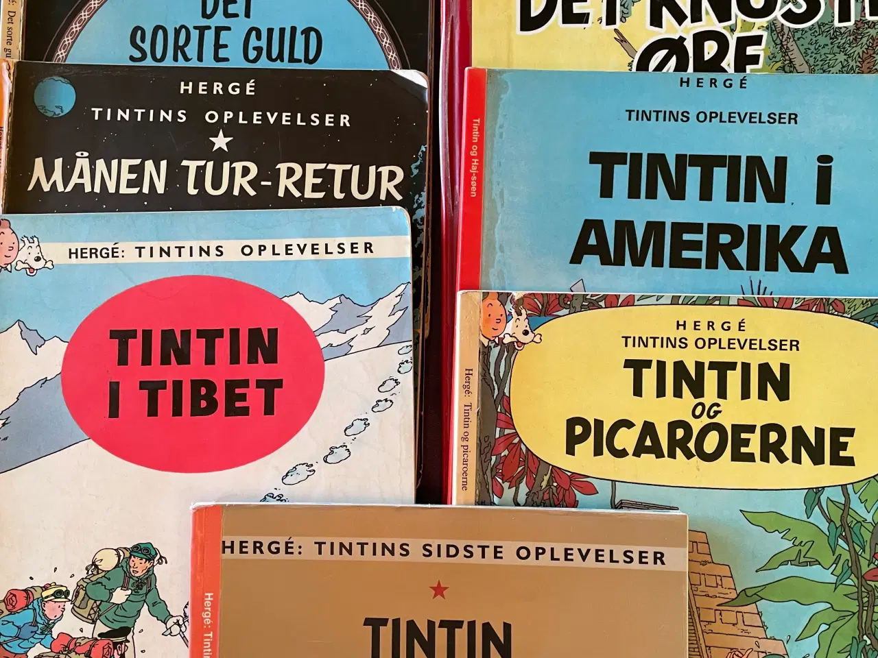 Billede 1 - Tintins oplevelser