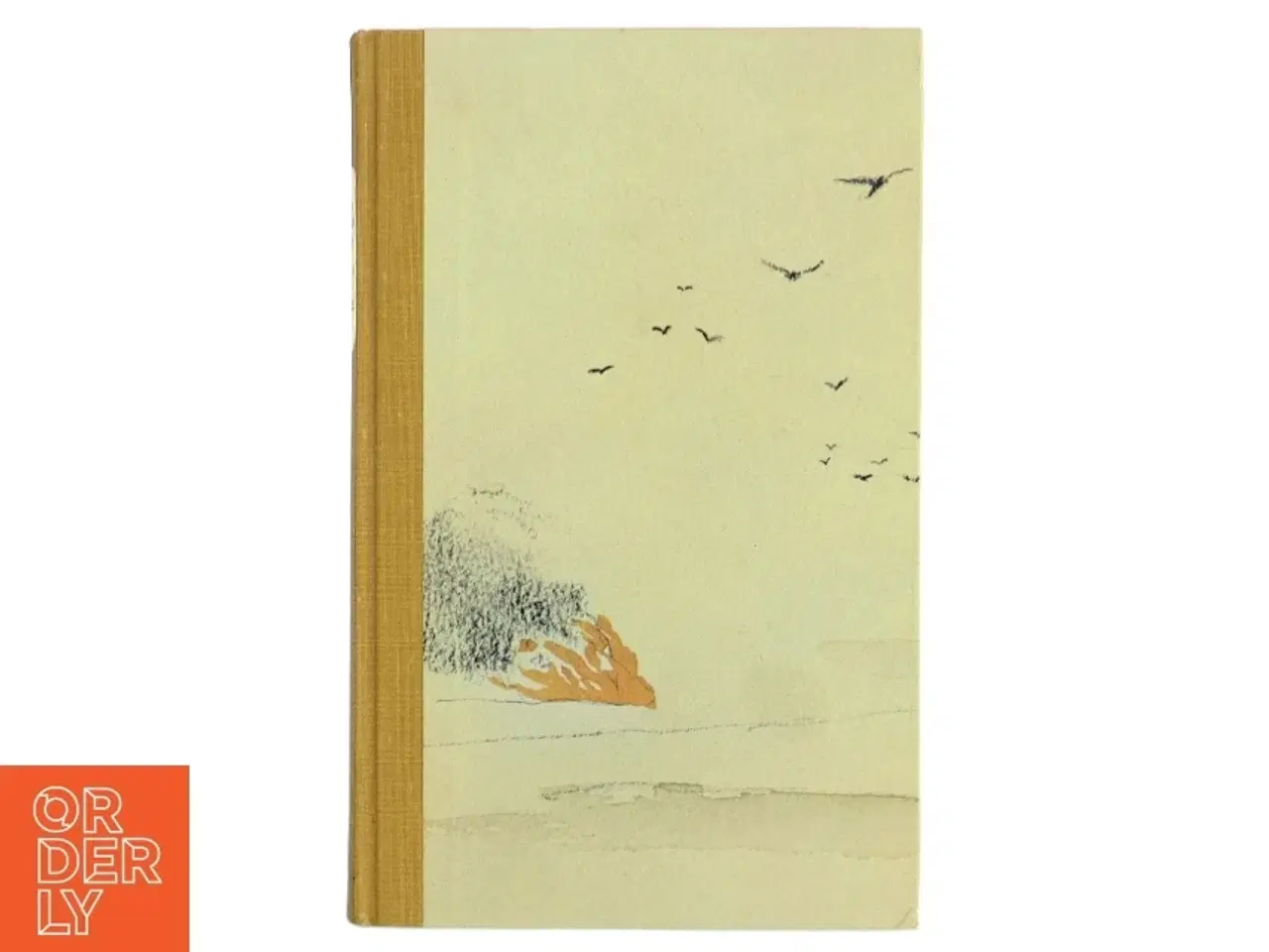 Billede 1 - The Sketch Book of Geoffrey Crayon (Bog)