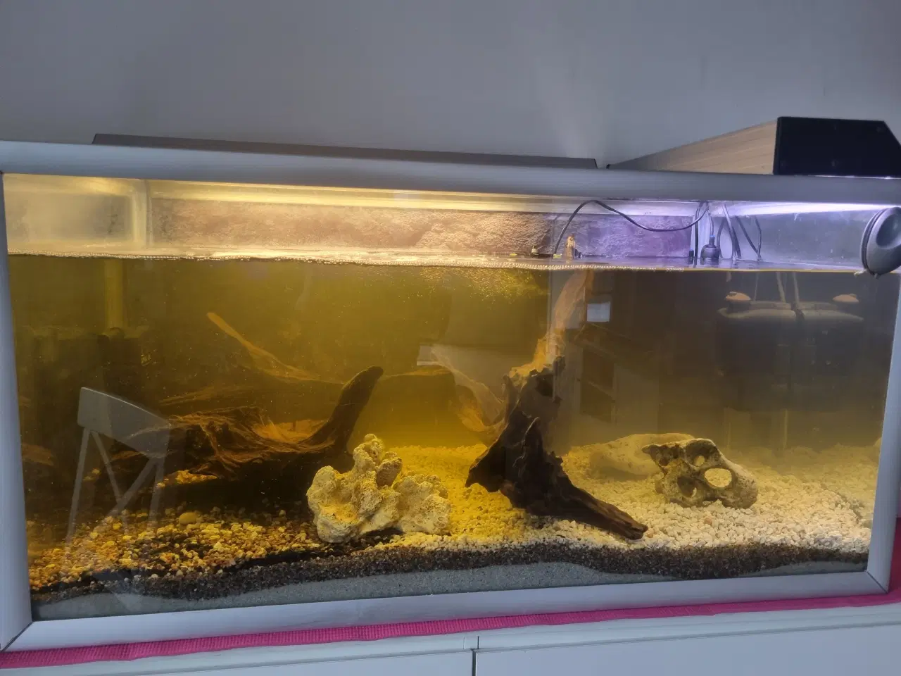 Billede 1 - Akvarie 250L med sand ,grus og dekorationer