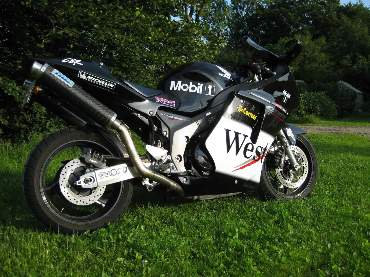 Billede 1 - XX Blackbird, CBR