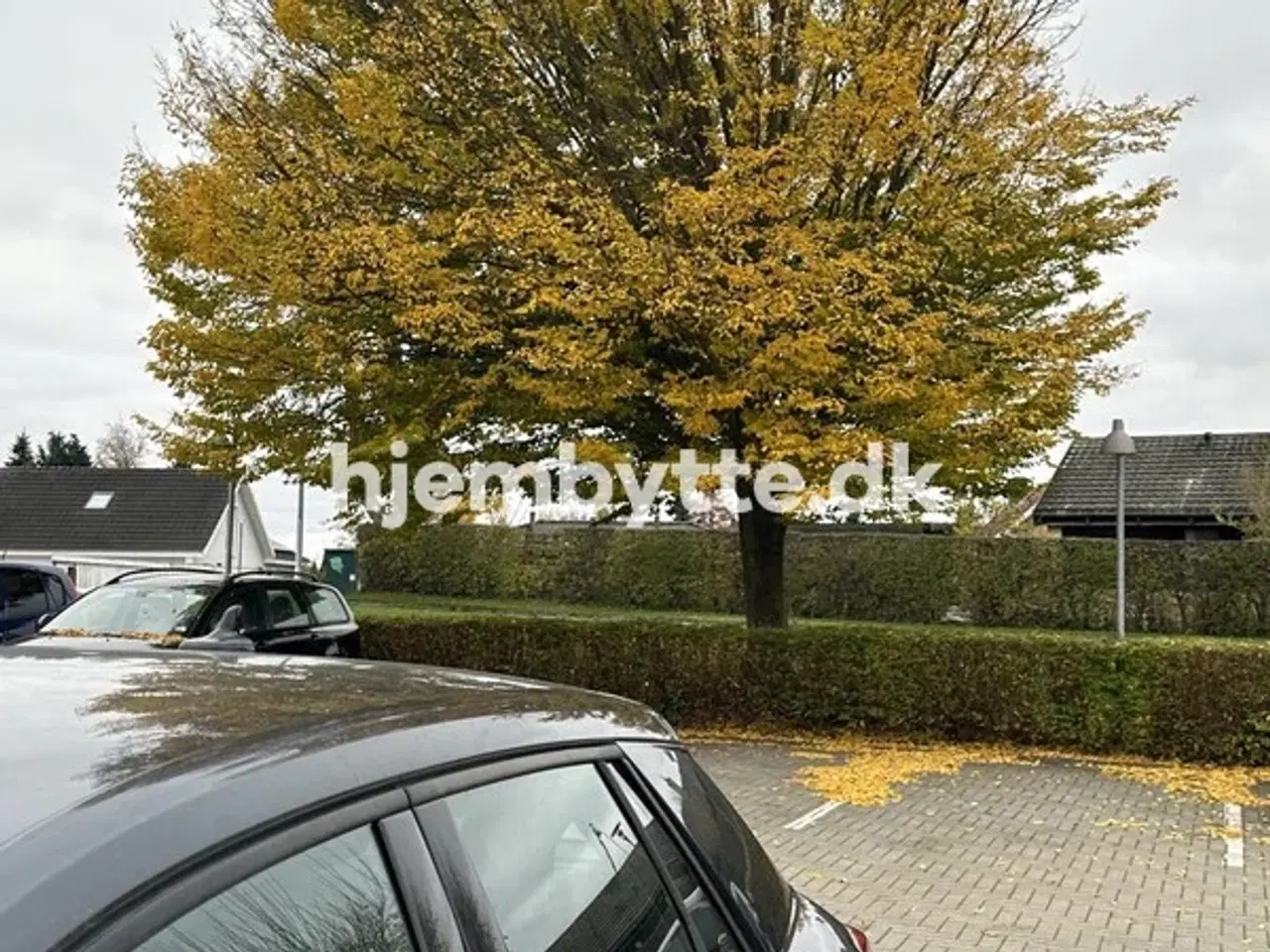 Billede 8 - Hjembytte - Elmeparken