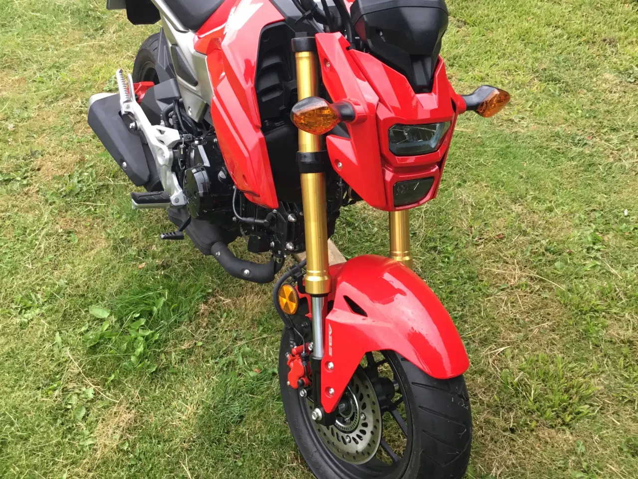 Billede 3 - Honda Grom 125