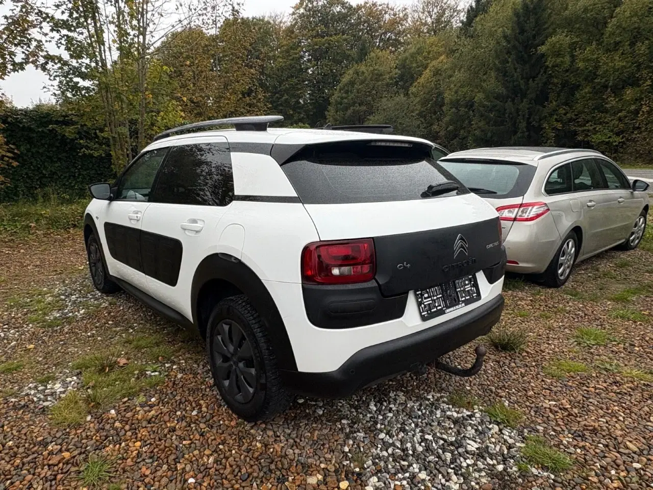 Billede 5 - Citroën C4 Cactus 1,6 BlueHDi 100 Feel Free