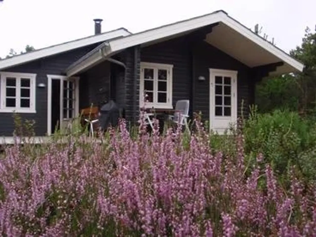 Billede 2 - Dejligt sommerhus for 6 til leje i Lodskovvad nær Skagen
