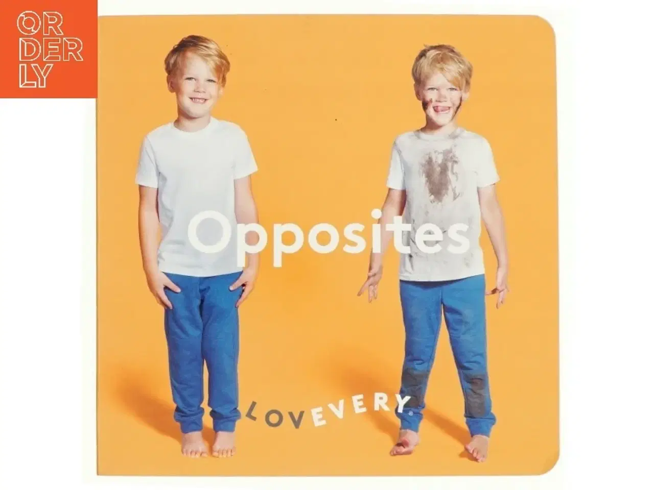 Billede 1 - Opposites