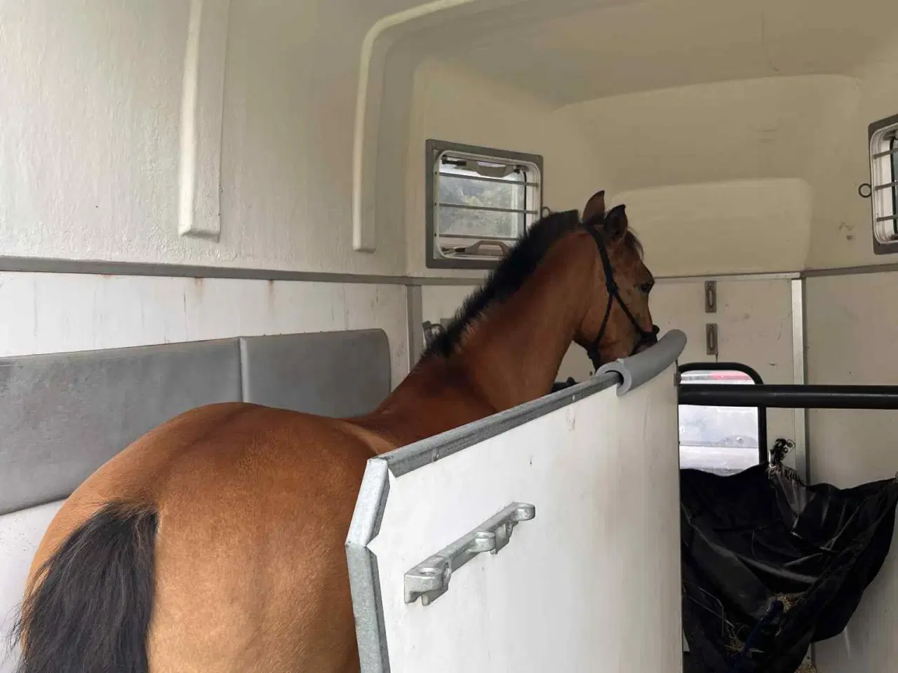 Billede 8 - Part eller Udlån 