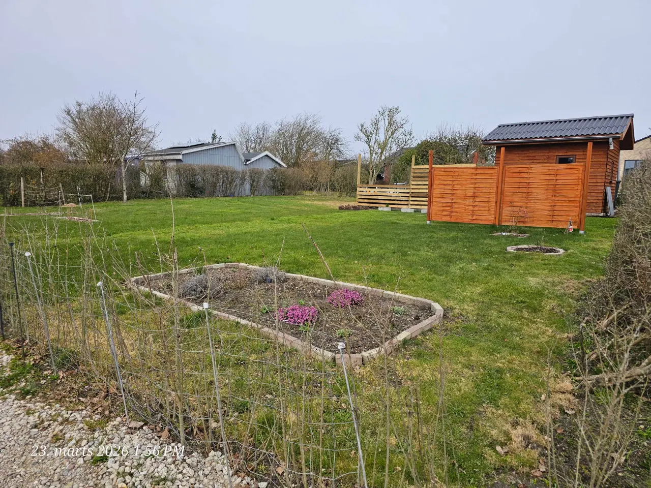 Billede 3 - Kolonihave sælges