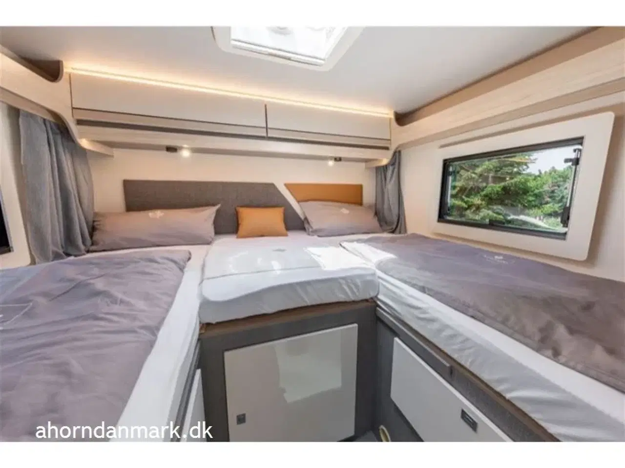 Billede 15 - 2025 - Ahorn Canada AE   Canada AE 2024