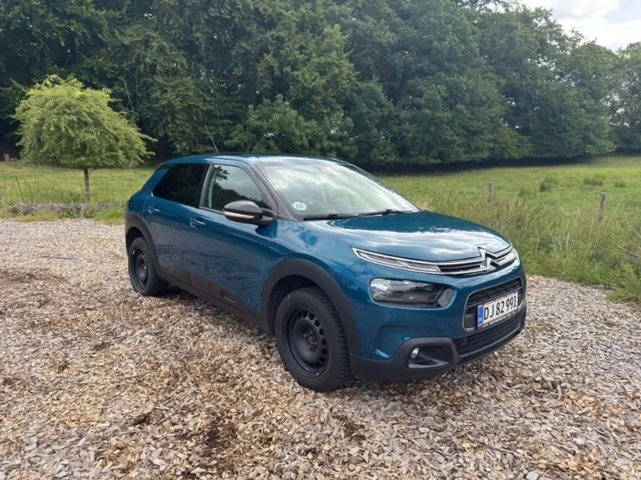 Billede 2 - Citroën C4 Cactus 1,6 BlueHDi 100 SkyLine