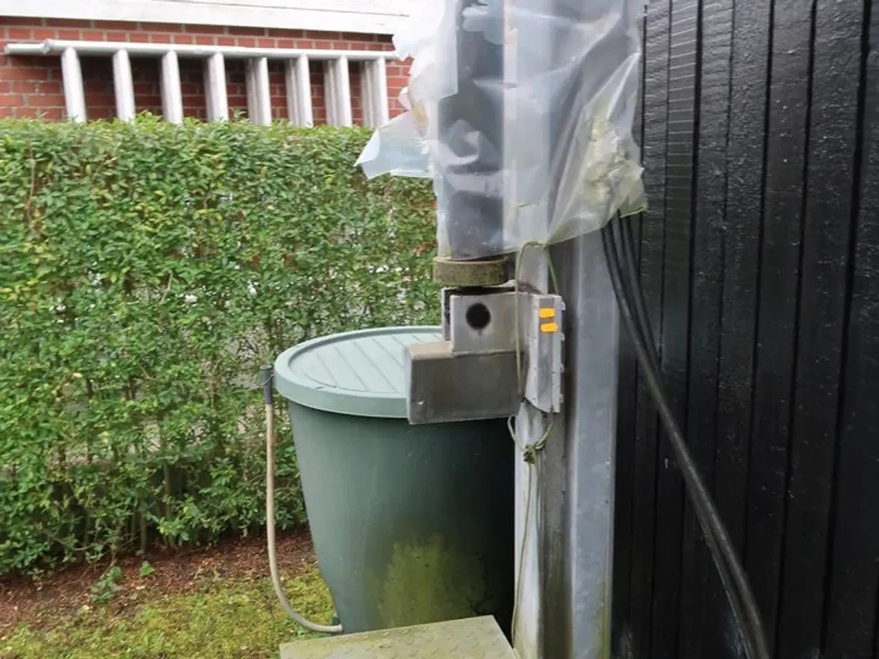 Billede 1 - Brændekløver