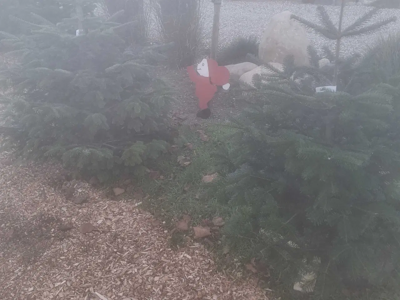 Billede 1 - Jule træer og andre  Jule  ting  kertevej 6 5560 